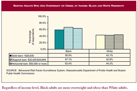 boston overweight adults