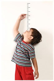 lines represent units of length