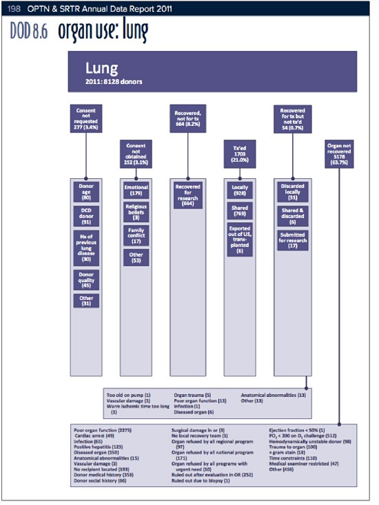lung organ use